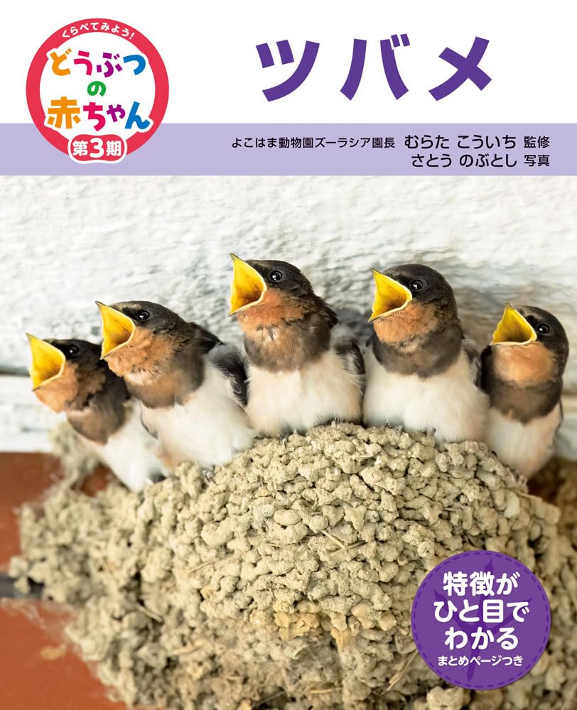 ツバメ | むらた こういち, さとう のぶとし |本 | 通販 | Amazon